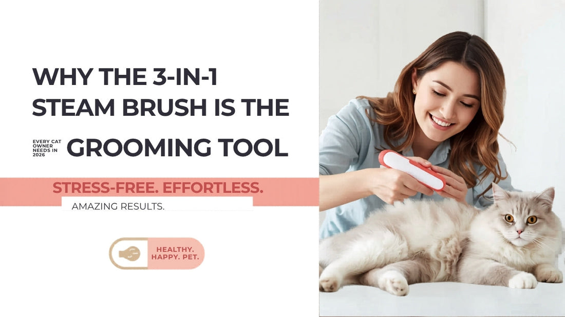 Woman grooming her cat with a 3-in-1 steam brush