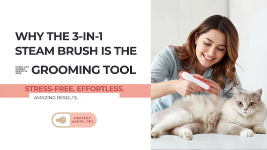 Woman grooming her cat with a 3-in-1 steam brush