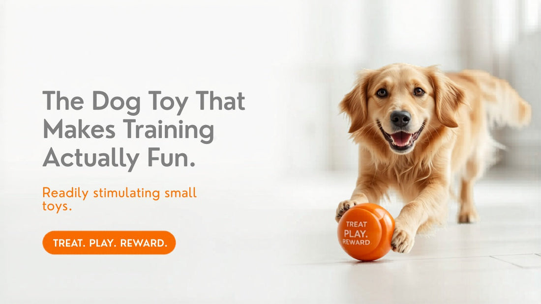 Happy dog playing with an orange treat-dispensing ball toy on a clean white floor