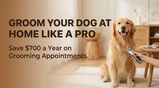 Dog Grooming Clipper Blog Banner — DLC Market