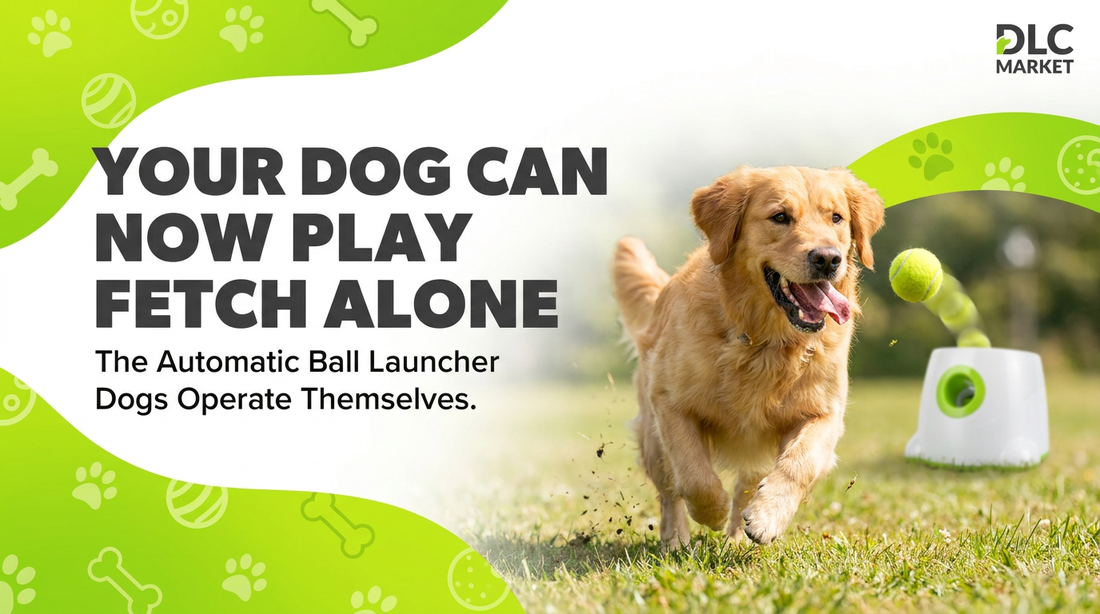 Automatic Dog Ball Launcher Blog Banner — DLC Market