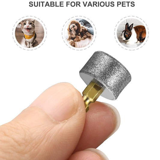 Buy Replacement Grinding Head Of Pet Automatic Nail Grinder online at DLC Market