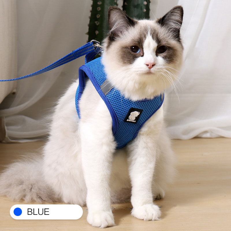 Buy Anti-strike cat traction cat harness online at DLC Market