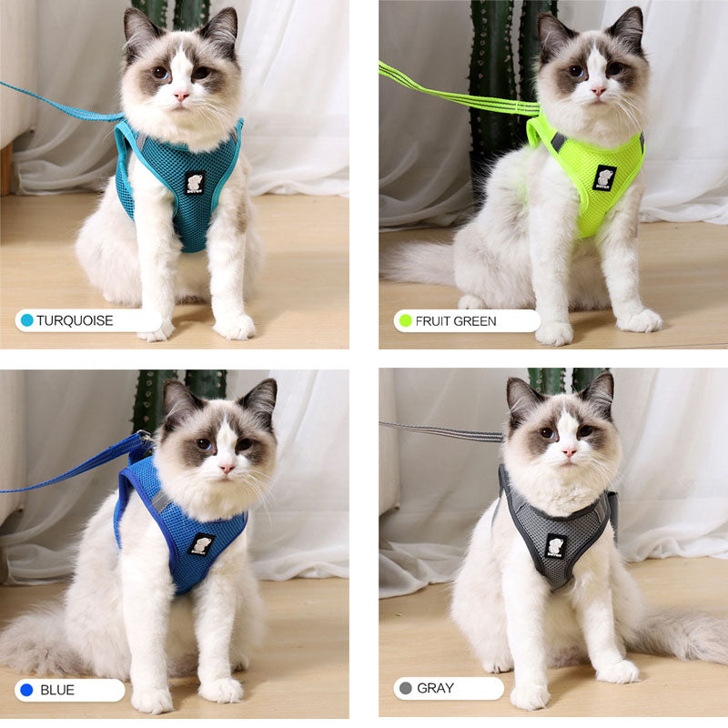 Buy Anti-strike cat traction cat harness online at DLC Market