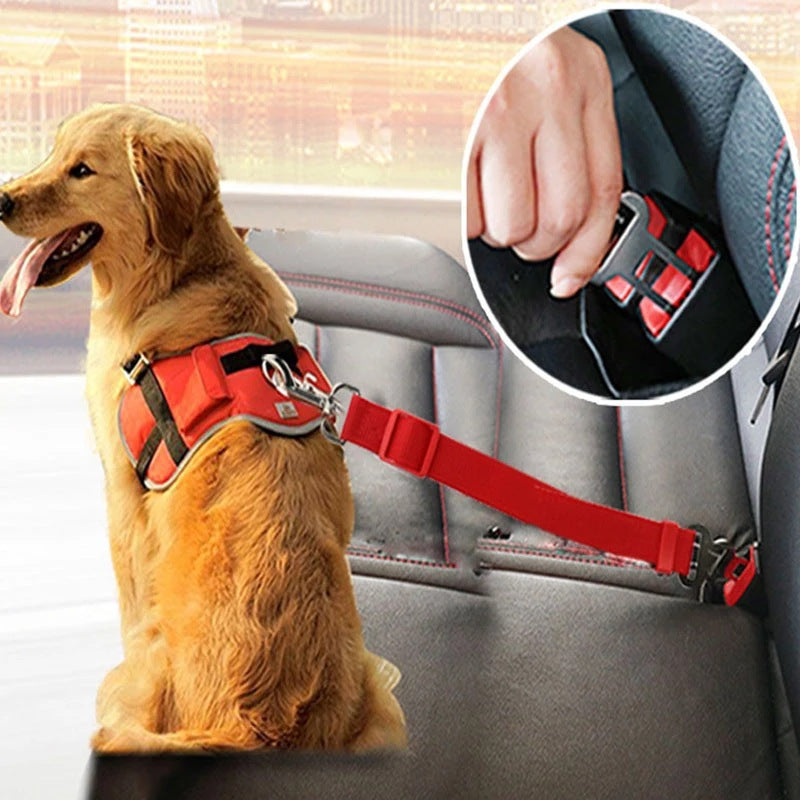 Buy Adjustable Pet Cat Dog Car Seat Belt Pet Seat Vehicle Dog Harness Lead Clip Safety Lever Traction Dog Collars Dogs Accessoires Pets Products online at DLC Market