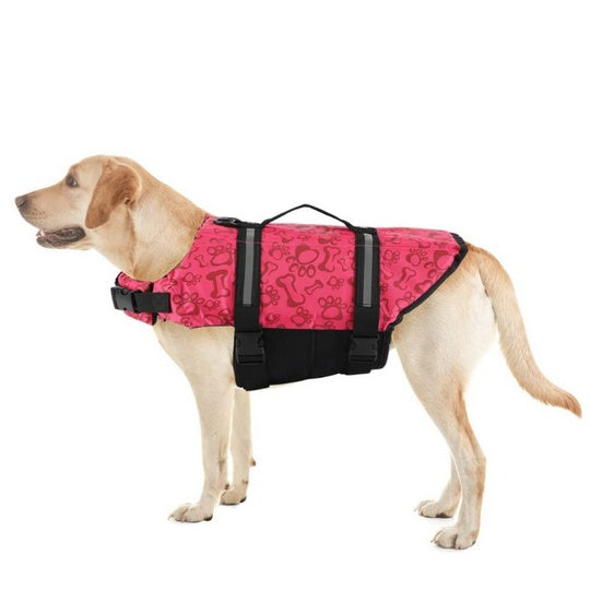 Buy Paw Roll Developing Product online at DLC Market
