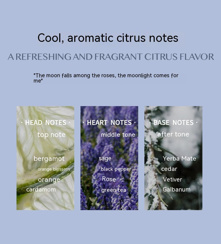 Buy Aromatic Citrus Aromatic Perfume Long-lasting Perfume online at DLC Market