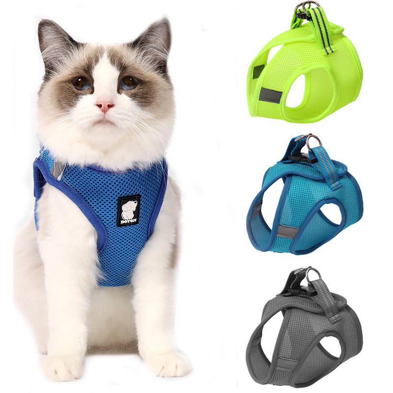 Buy Anti-strike cat traction cat harness online at DLC Market