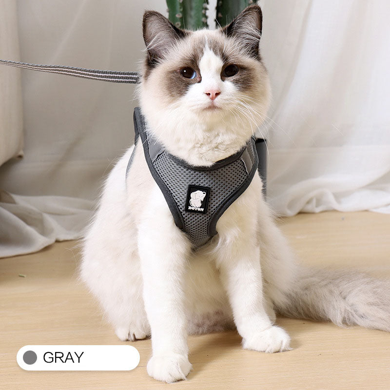 Buy Anti-strike cat traction cat harness online at DLC Market