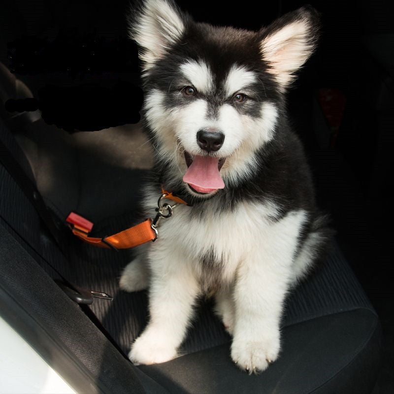 Buy Adjustable Dog Seat Belt Dog Car Seatbelt Harness Leads Elastic Reflective Safety Rope online at DLC Market