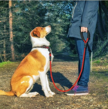 Buy Reflective Dog Leash Nylon Pet Dog Leash Rope For Small Medium Large Dogs Walking Training Pet Suppiles online at DLC Market