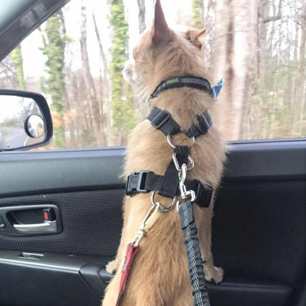 Buy Adjustable Dog Seat Belt Dog Car Seatbelt Harness Leads Elastic Reflective Safety Rope online at DLC Market