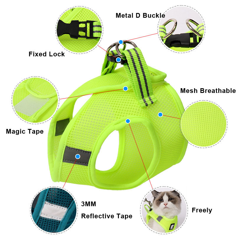 Buy Anti-strike cat traction cat harness online at DLC Market