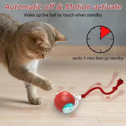 Buy Interactive Cat Toy Ball Super Drive Cat Rolling Balls With online at DLC Market