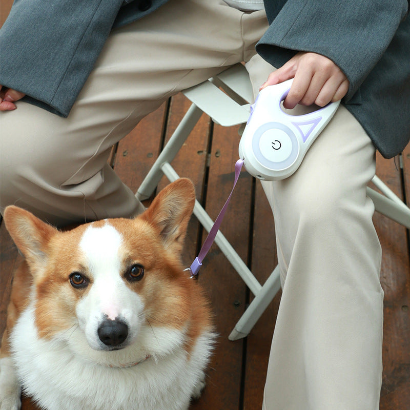 Buy Dog Leash Retractable Leash And Dog Collar Spotlight Automatic Pet Dog Cat Traction Rope For Small Medium Dogs Pet Product online at DLC Market