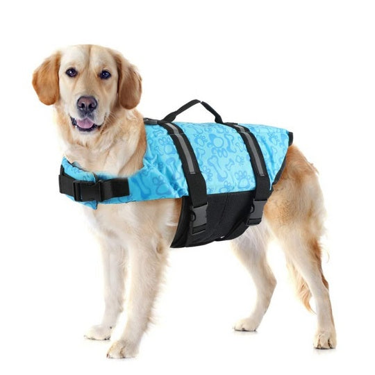 Buy Paw Roll Developing Product online at DLC Market