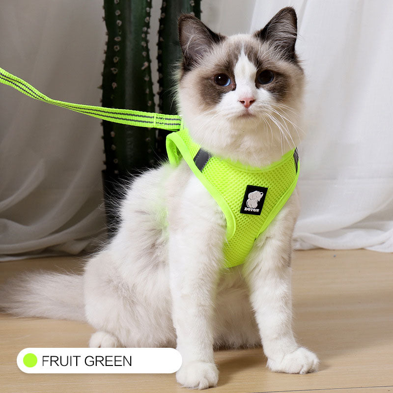 Buy Anti-strike cat traction cat harness online at DLC Market