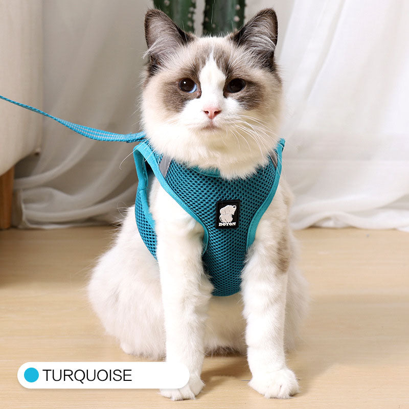 Buy Anti-strike cat traction cat harness online at DLC Market