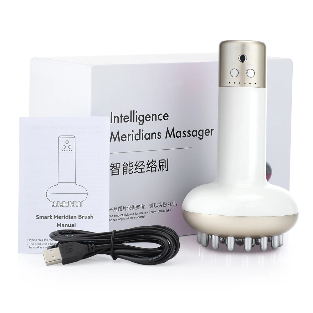Smart Electronic Deep Tissue Massage Gun by DLC MARKET