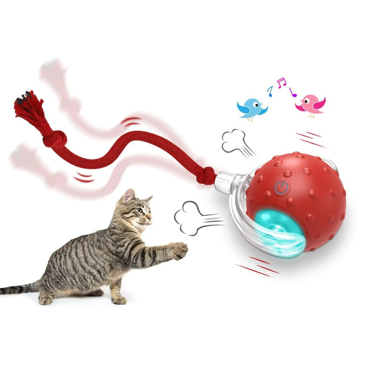Buy Interactive Cat Toy Ball Super Drive Cat Rolling Ball online at DLC Market